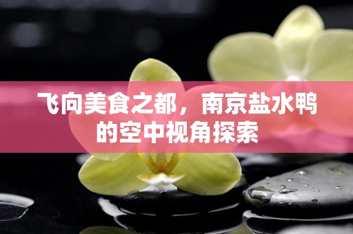 飞向美食之都，南京盐水鸭的空中视角探索