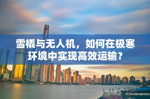 雪橇与无人机，如何在极寒环境中实现高效运输？