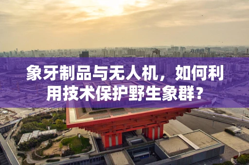 象牙制品与无人机，如何利用技术保护野生象群？