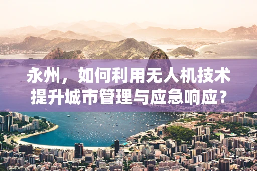 永州，如何利用无人机技术提升城市管理与应急响应？