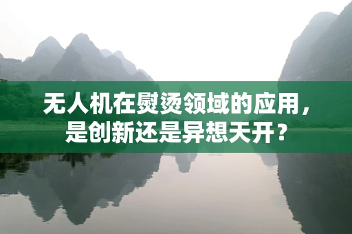 无人机在熨烫领域的应用，是创新还是异想天开？