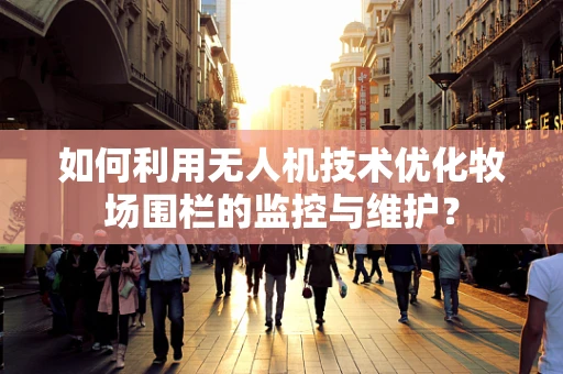 如何利用无人机技术优化牧场围栏的监控与维护？