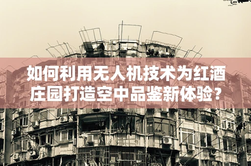 如何利用无人机技术为红酒庄园打造空中品鉴新体验？