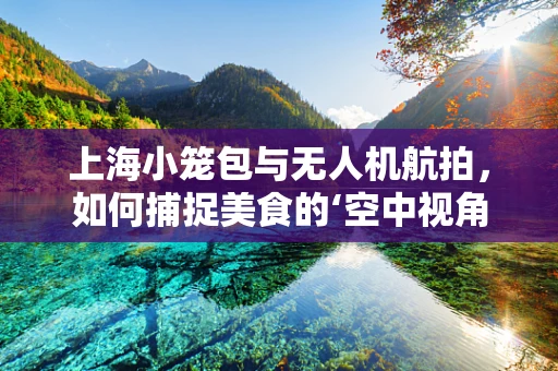 上海小笼包与无人机航拍，如何捕捉美食的‘空中视角’？