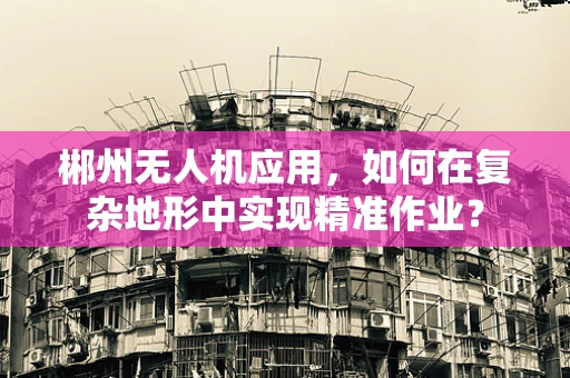 郴州无人机应用，如何在复杂地形中实现精准作业？