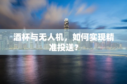 酒杯与无人机，如何实现精准投送？