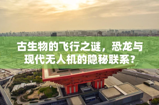 古生物的飞行之谜，恐龙与现代无人机的隐秘联系？