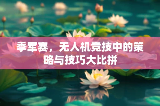 季军赛，无人机竞技中的策略与技巧大比拼