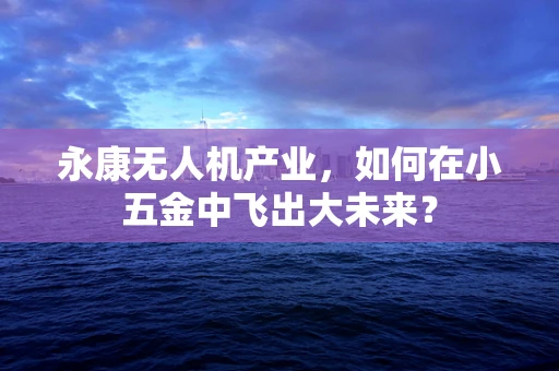 永康无人机产业，如何在小五金中飞出大未来？