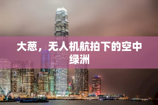 大葱，无人机航拍下的空中绿洲