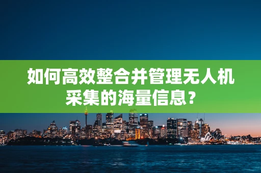 如何高效整合并管理无人机采集的海量信息？