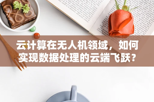 云计算在无人机领域，如何实现数据处理的云端飞跃？
