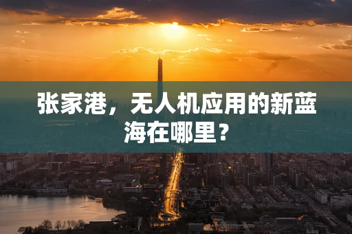 张家港，无人机应用的新蓝海在哪里？