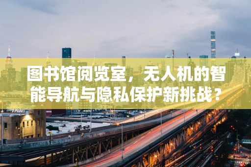 图书馆阅览室，无人机的智能导航与隐私保护新挑战？