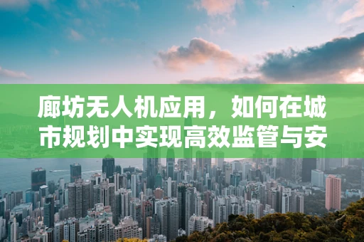 廊坊无人机应用，如何在城市规划中实现高效监管与安全飞行？