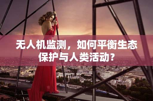 无人机监测，如何平衡生态保护与人类活动？