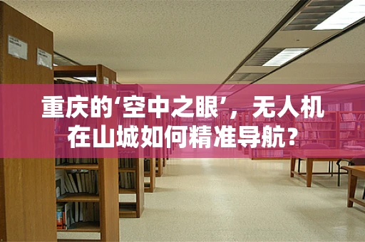 重庆的‘空中之眼’，无人机在山城如何精准导航？