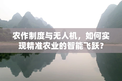 农作制度与无人机，如何实现精准农业的智能飞跃？