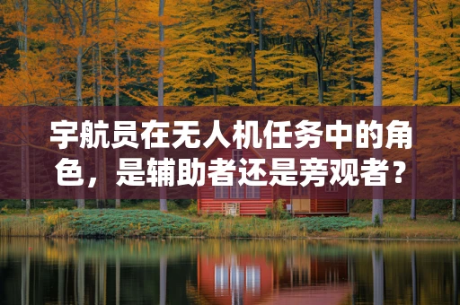 宇航员在无人机任务中的角色，是辅助者还是旁观者？