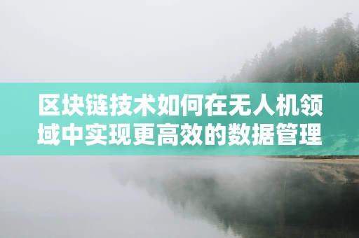 区块链技术如何在无人机领域中实现更高效的数据管理与安全保障？