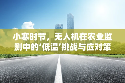 小寒时节，无人机在农业监测中的‘低温’挑战与应对策略