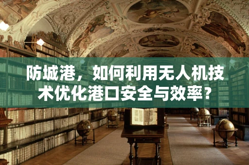 防城港，如何利用无人机技术优化港口安全与效率？