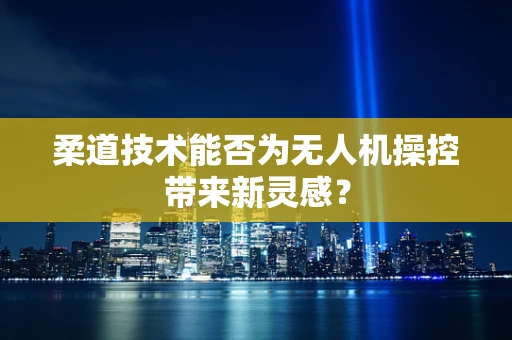 柔道技术能否为无人机操控带来新灵感？