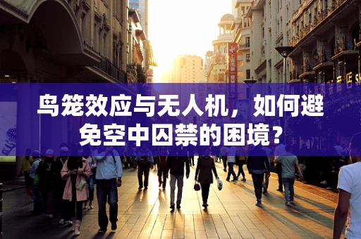 鸟笼效应与无人机，如何避免空中囚禁的困境？