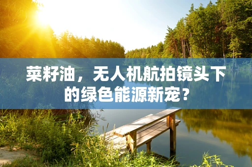 菜籽油，无人机航拍镜头下的绿色能源新宠？