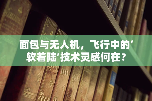 面包与无人机，飞行中的‘软着陆’技术灵感何在？