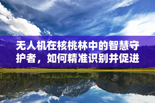 无人机在核桃林中的智慧守护者，如何精准识别并促进核桃健康生长？