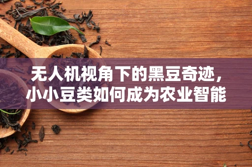 无人机视角下的黑豆奇迹，小小豆类如何成为农业智能化的新宠？