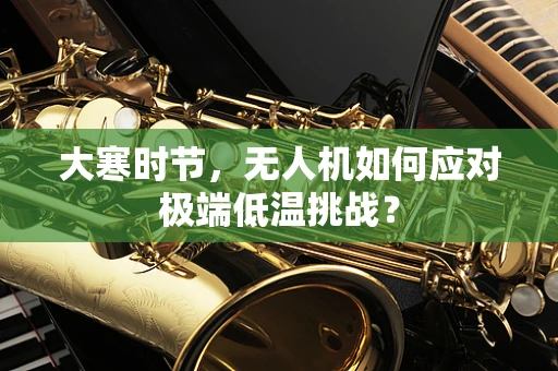 大寒时节，无人机如何应对极端低温挑战？