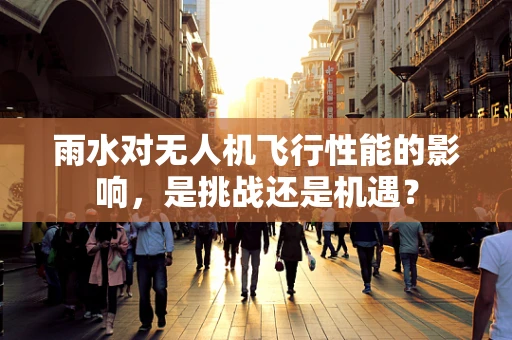 雨水对无人机飞行性能的影响，是挑战还是机遇？