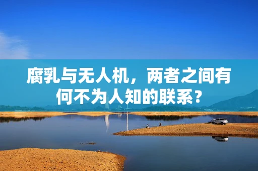 腐乳与无人机，两者之间有何不为人知的联系？