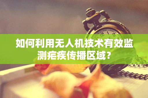 如何利用无人机技术有效监测疟疾传播区域？