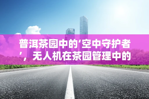 普洱茶园中的‘空中守护者’，无人机在茶园管理中的应用与挑战？