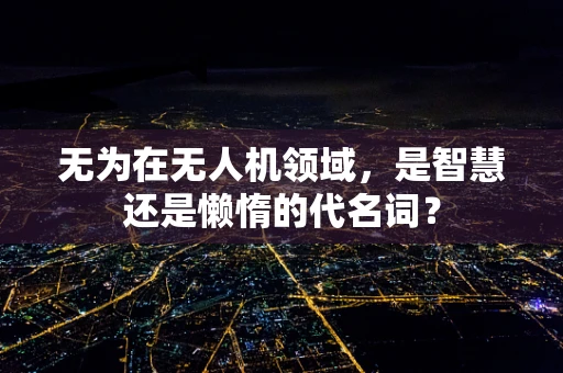 无为在无人机领域，是智慧还是懒惰的代名词？