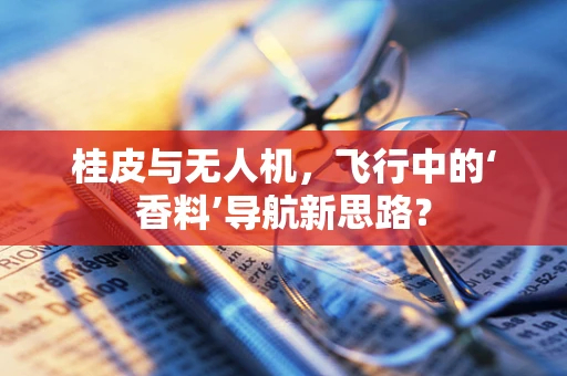 桂皮与无人机，飞行中的‘香料’导航新思路？