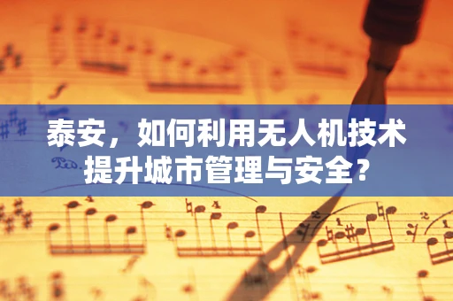泰安，如何利用无人机技术提升城市管理与安全？