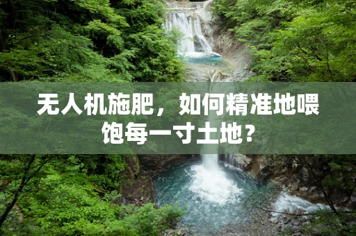 无人机施肥，如何精准地喂饱每一寸土地？