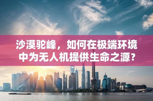沙漠驼峰，如何在极端环境中为无人机提供生命之源？