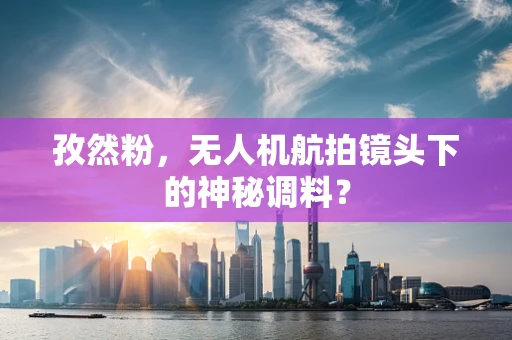 孜然粉，无人机航拍镜头下的神秘调料？