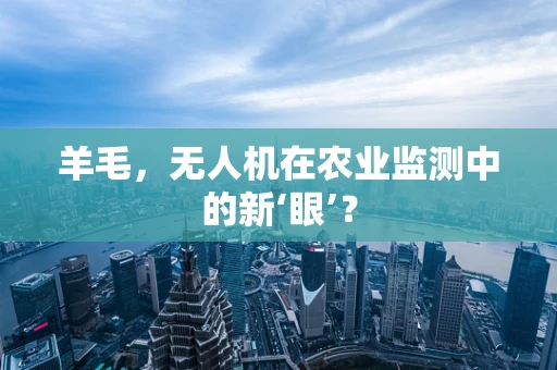 羊毛，无人机在农业监测中的新‘眼’？