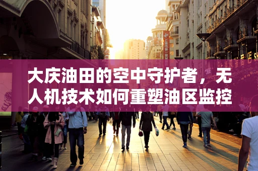 大庆油田的空中守护者，无人机技术如何重塑油区监控？