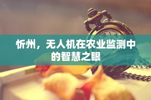 忻州，无人机在农业监测中的智慧之眼
