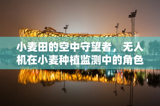 小麦田的空中守望者，无人机在小麦种植监测中的角色之问？