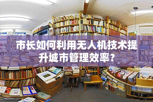 市长如何利用无人机技术提升城市管理效率？