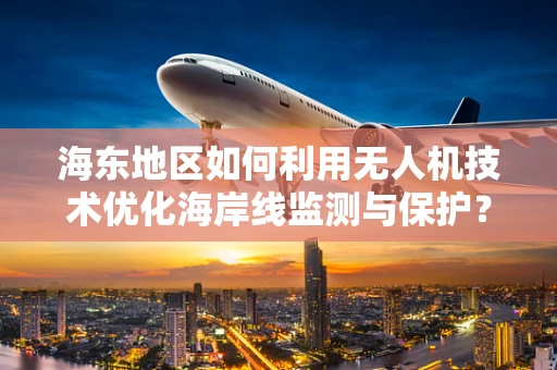 海东地区如何利用无人机技术优化海岸线监测与保护？