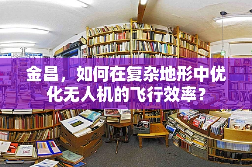 金昌，如何在复杂地形中优化无人机的飞行效率？